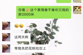 亳州为什么选择专业追讨公司来处理您的债务纠纷？